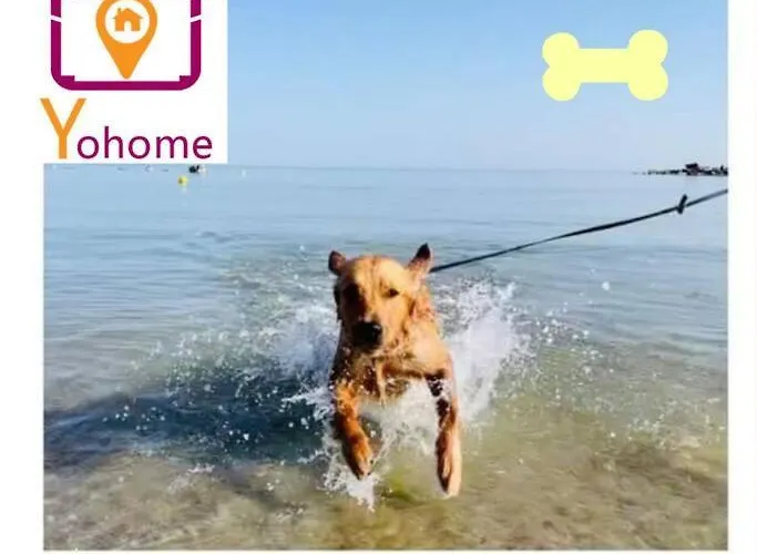 Appartement Vaccaj Cultura Musica E Mare A By Yohome *