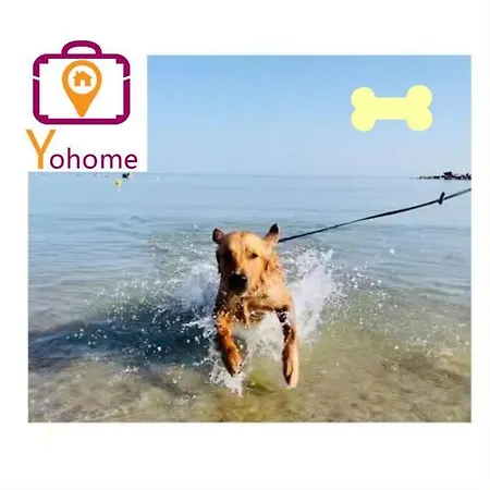 Apartment Vaccaj Cultura Musica E Mare A By Yohome *